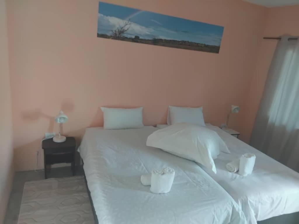 The Farmhouse Boutique Guesthouse And Beergarden Cc Outjo Bagian luar foto